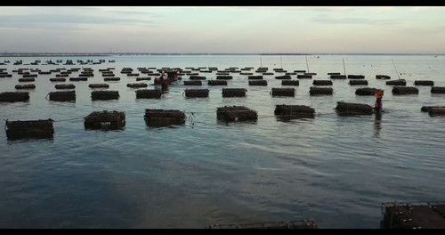 nj aqua final.jpg