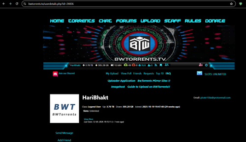 BWTorrents.png