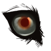 image 2026 05 12 191259155.png