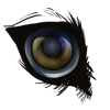 image 2026 05 12 191346497.png