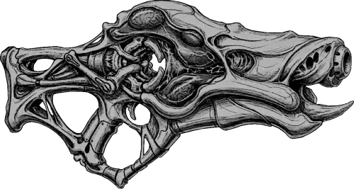 Witch Bister 2.webp