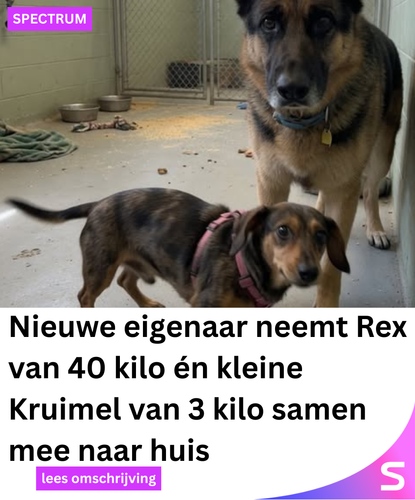 Spectrum Netwerk 143 2026 05 12T193428.127.png