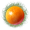 1851b45a4d78.png