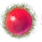a621e4224cca.png