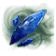 74f4b483a7cc.png