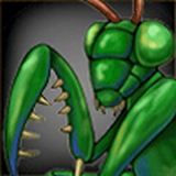 6f9e5c13d30c.png