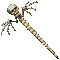 c43fa4fa2a22.png