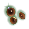 05eb04e61890.png