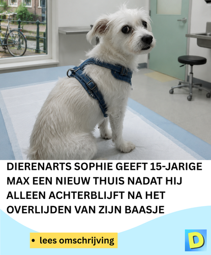  Doldwaas Dagblad 142 2026 05 12T192618.866.png