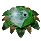 4cc7b488176e.png