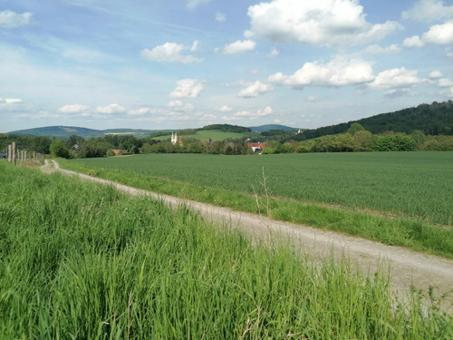 IMG 20260510 154435.jpg