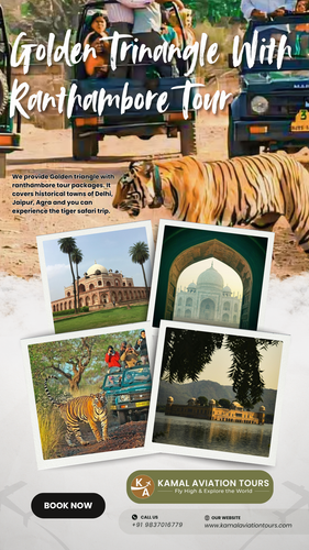 White and Green Modern Tours and Travels Agency Promotion Instagram Story.png