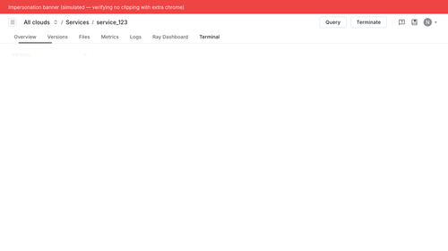 service terminal with impersonation banner.png