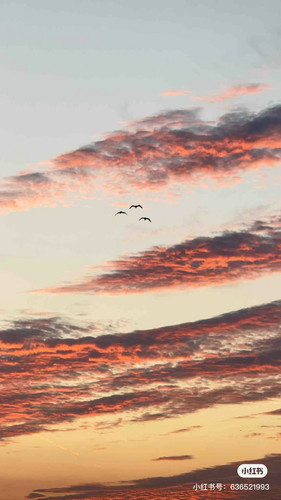 d7674b1c8b36.jpg