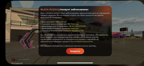 IMG 1928.png