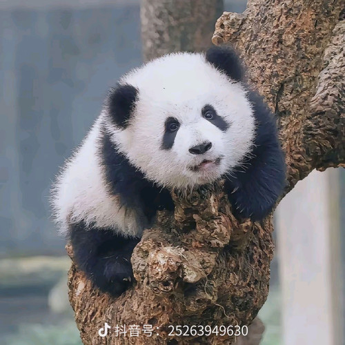 b0b88df795e3.jpg