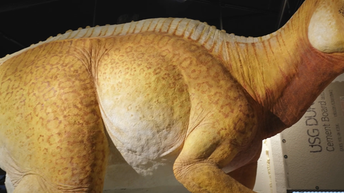 Why.Dinosaurs.2024.1080p.WEB DL.AAC2.0.H.264 ZooeyDes.0:14:15.optimized=default.png