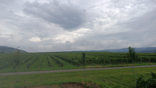 IMG 20230812 WA0004.jpg