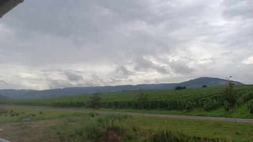 IMG 20230812 WA0007.jpg