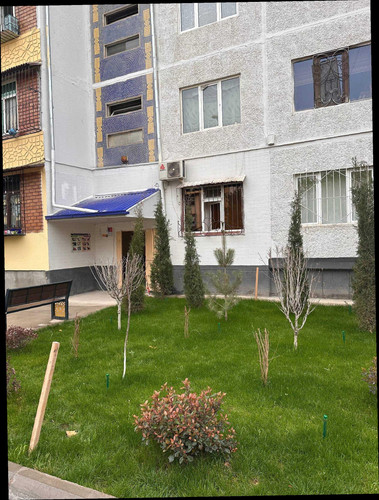 7d7a2be2662d.jpg