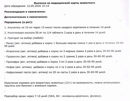 12.05. 26 г. кормление..jpg