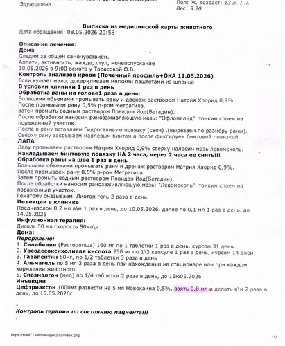 08.05.26..jpg