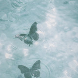 IMG 4482