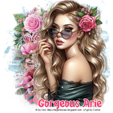 GorgeousArie1 vi