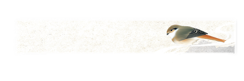1000051663.png