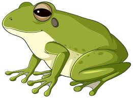 KATAK.jpg