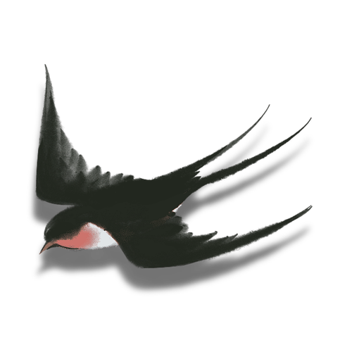 1000051654.png
