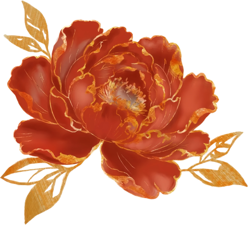 IMG 6478.png