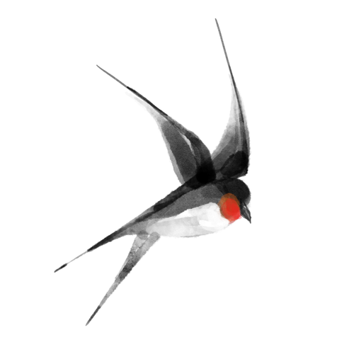1000051666.png
