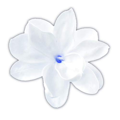1000051677.png