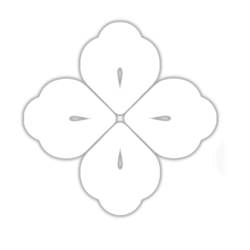 1000051656.png