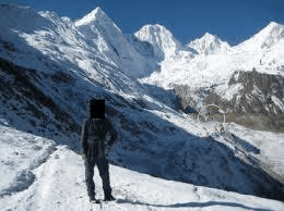 7251b4c873b6.gif