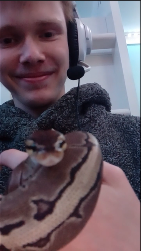 Discord 3VP5CGk3eF.png
