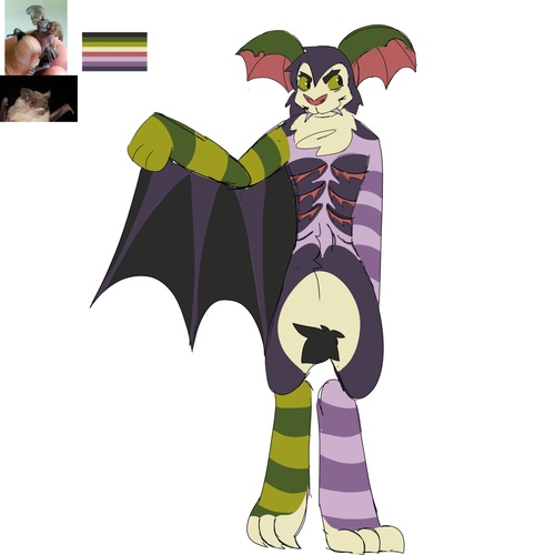 IMG 0565.png