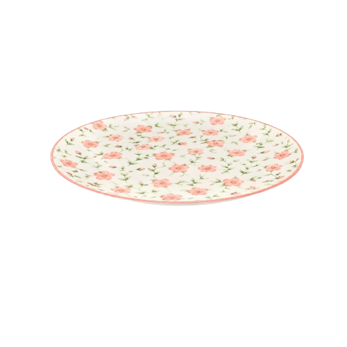 RANIN1146397.png