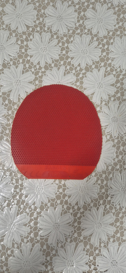 20260512 112020.jpg