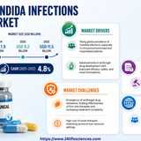 httpswww.24lifesciences.com 2026 05 12T005346.258