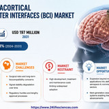 httpswww.24lifesciences.com 2026 05 12T123318.908