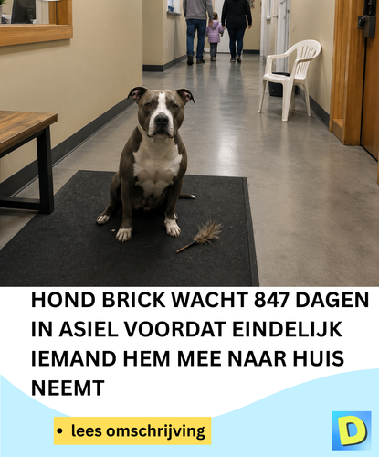  Doldwaas Dagblad 142 2026 05 12T201033.099.png
