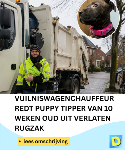  Doldwaas Dagblad 142 2026 05 12T201801.269.png