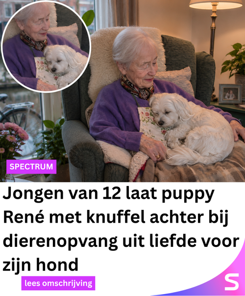 Spectrum Netwerk 143 2026 05 12T202839.244.png