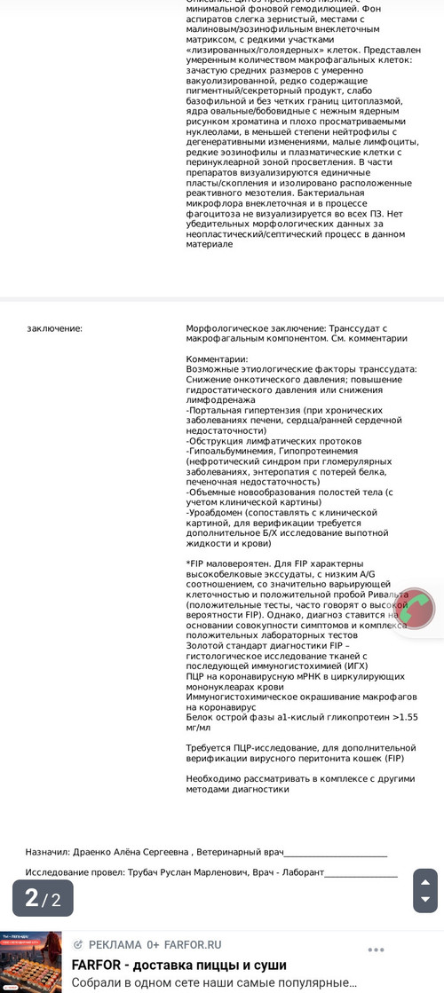 Screenshot 20260427 193555.jpg
