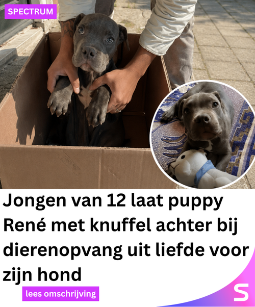 Spectrum Netwerk 143 2026 05 12T202525.419.png