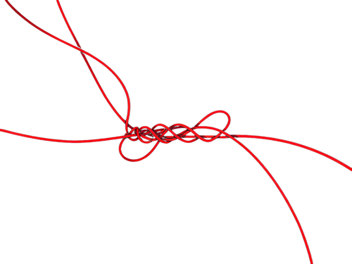 IMG 6485.png