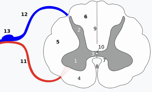 1e150cf35754.png