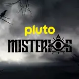 411202616287